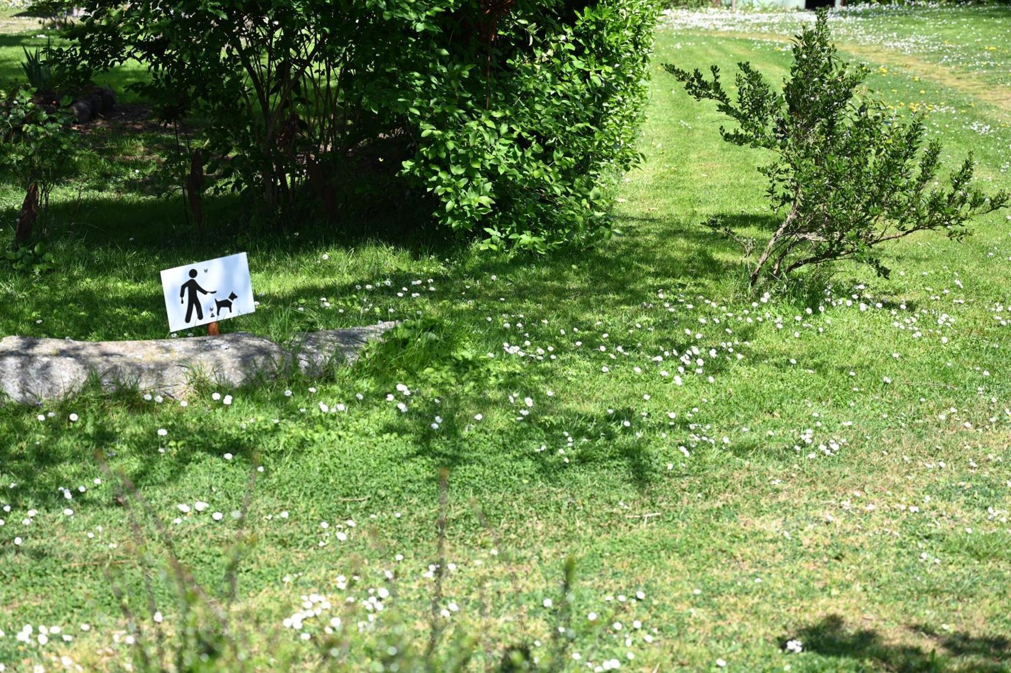 La Demeure Du Perron Hotel Quettehou Eksteriør billede